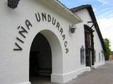 Undurraga1