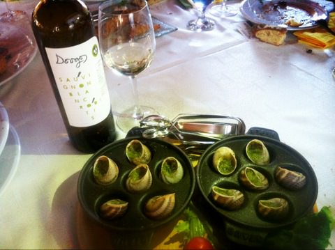 Dougos_Sauvignon_Saligaria