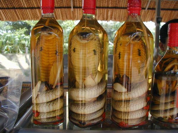 Φίδι διατηρημένο σε φιάλη κρασιού τσίμπησε γυναίκα - oinos